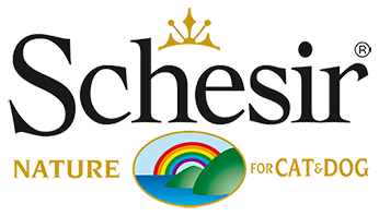 Schesir