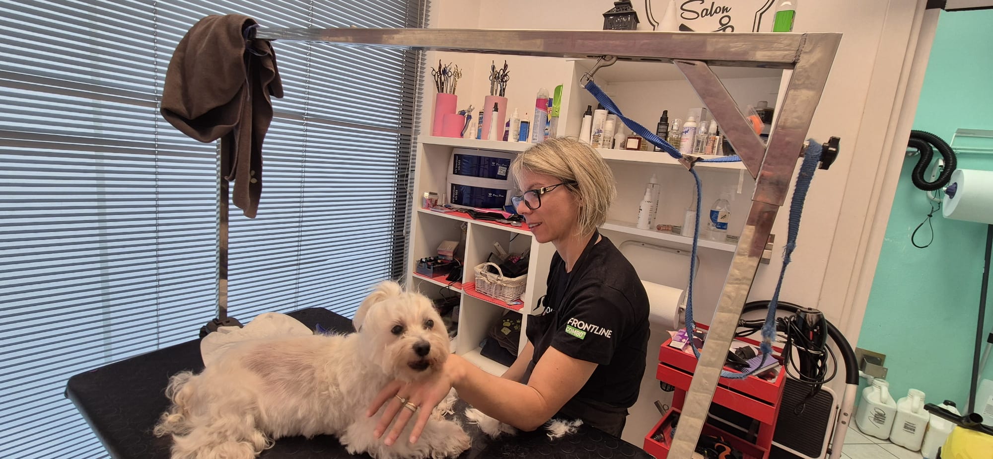 Taglio del pelo personalizzato da Pet's Home Caorle