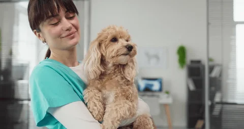 Su consiglio veterinario
