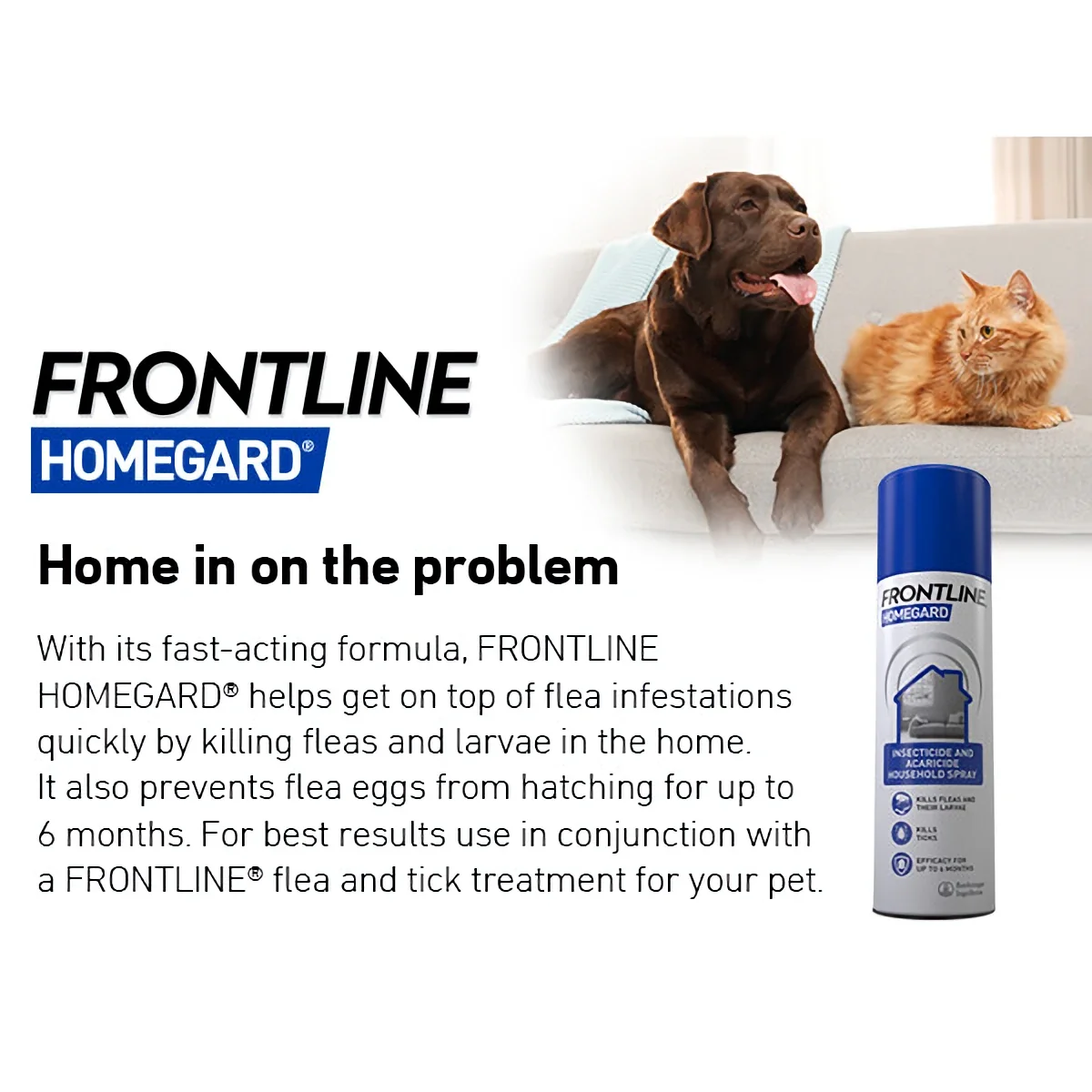 Frontline Home