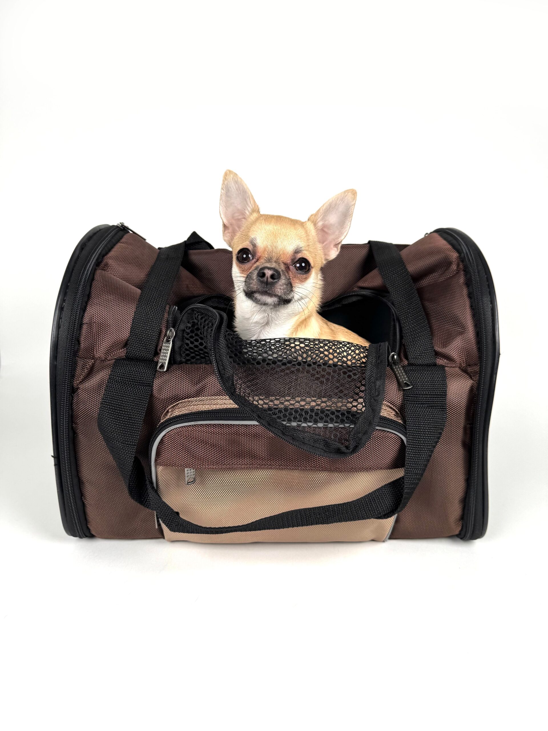 Zaini porta-pet