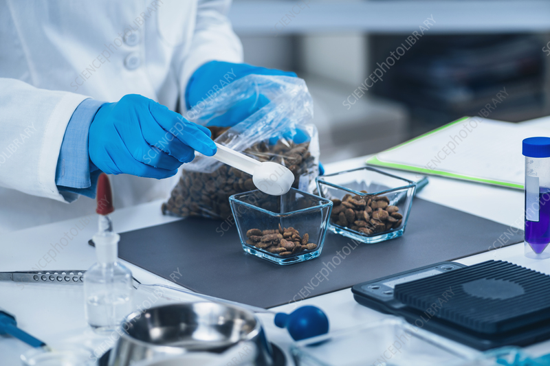 Formulazione scientifica