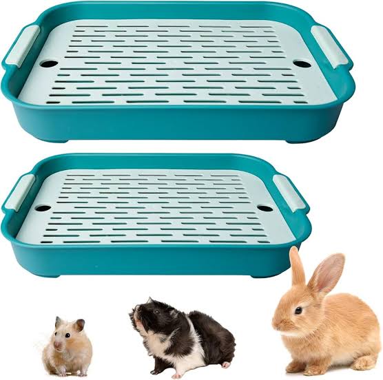 Lettiere & Accessori