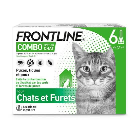 Per il gatto
