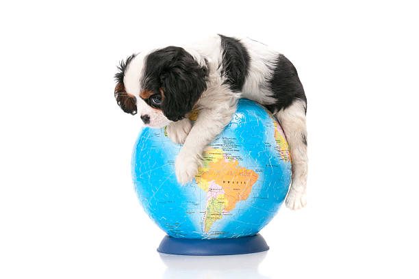 N°1 nel mondo