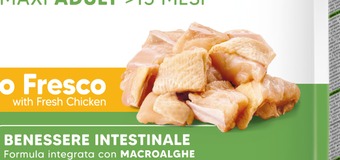 Carne fresca